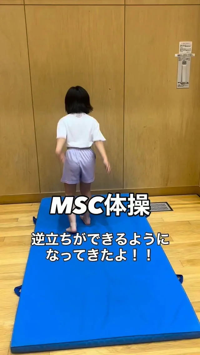 【MSC体操】